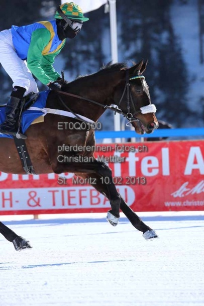 ET0Q0100 prot